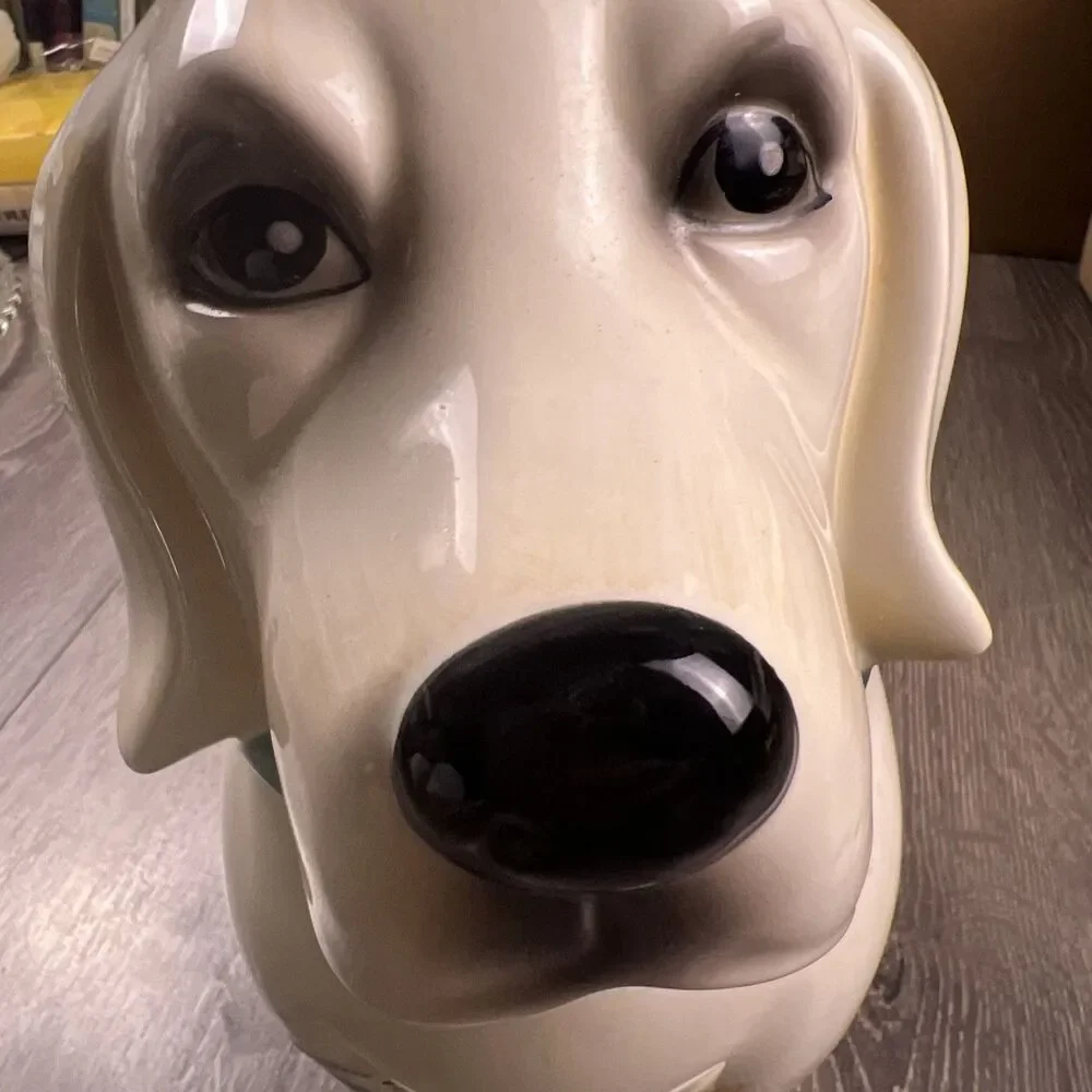 Pioneer Woman Dog Cookie Jar Labrador Retriever Lucy White Lab 11.5